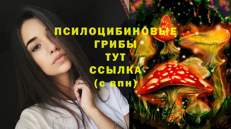 Псилоцибиновые грибы GOLDEN TEACHER  KRAKEN зеркало  Зуевка 