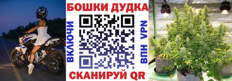 купить наркотики сайты  Зуевка  Шишки марихуана индика 